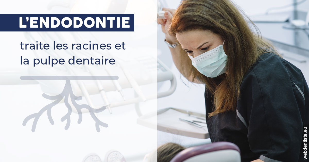 https://www.dr-amar.fr/L'endodontie 1