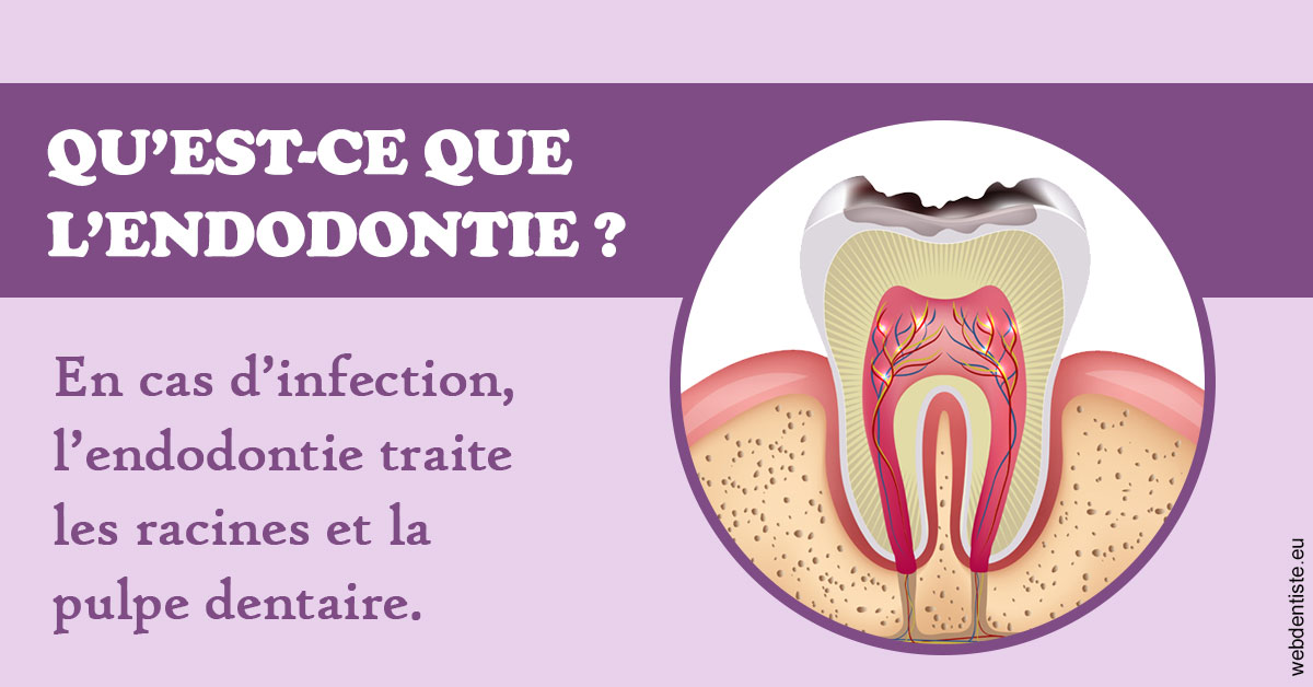 https://www.dr-amar.fr/2024 T1 - Endodontie 02