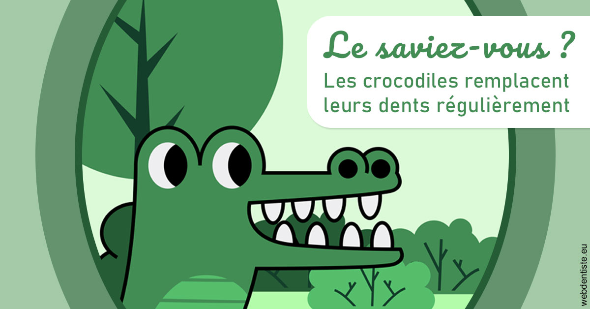 https://www.dr-amar.fr/Crocodiles 2