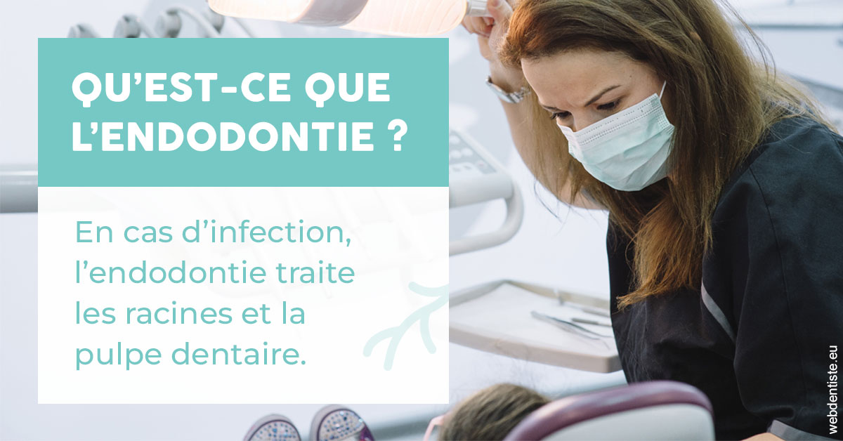 https://www.dr-amar.fr/2024 T1 - Endodontie 01