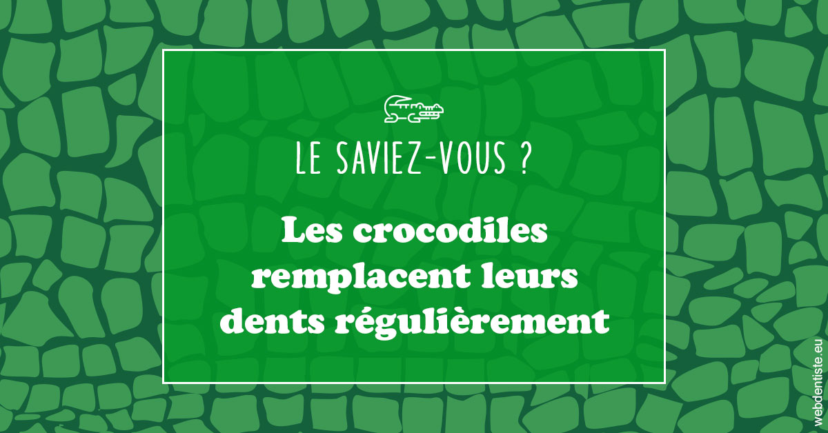 https://www.dr-amar.fr/Crocodiles 1