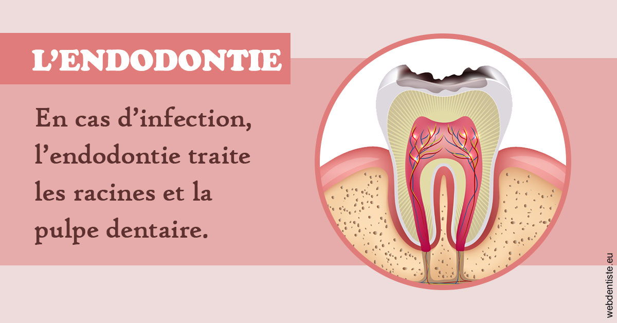 https://www.dr-amar.fr/L'endodontie 2